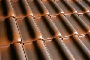 ������������ �������� � �������� ��������� - ����������� 1