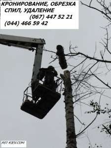 ������������ �������� ����. ������� �����. �������� �������� ����. ����������, �������� ����.0674093070 - ����������� 1