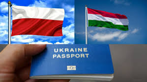 ������������ �������� ���� ��������� d - ����������� 1