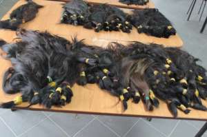 ������������ �������� ����� - ����������� 1