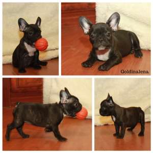 ������������ �������� ����� - ����������� 1