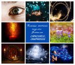 ������� � ����������: ������������ ��������. ������� �� ����. ������������ ������� �������.