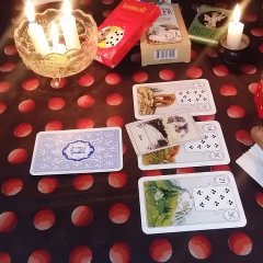 ������������ ��������. �������� �� ������ ����. ������� �� ����. ������� �� ������� - ����������� 1