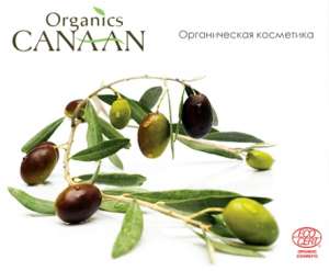 ������������ ��������� �Canaan� - ����������� 1