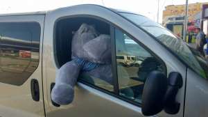 ������������ ��������� �� �������������� � ������ - ����������� 1