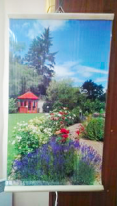 ������������ ��������� ���� - ����������� 1