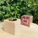 ������������ ���������. ���������, ������ ����� - ����������� 3