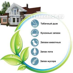 ������������ ���������. ���������� ���������� ������� � ��������, ��������. - ����������� 1