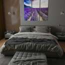 ������������ ���������. ����������� ������������. ������� - ����������� 3