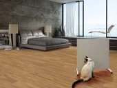 ������� � ����������: ������������ ��������� ������������ ������ ��������� �� �������������