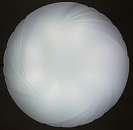 ������������ ���������� Feron AL549 12W - ����������� 2