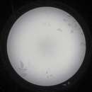 ������������ ���������� Feron AL609 18W - ����������� 2