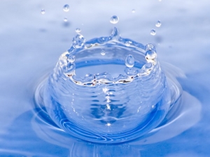 ������������ ���������� - ����������� 1