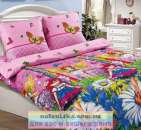 ������������ ���������� ����� �� �������-�������� - ����������� 2