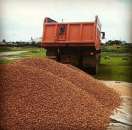 ������� � ����������: ������������ ���������� ���������� �������