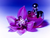 ������� � ����������: ������������ ���������� ������������ �������� (��������). �����.