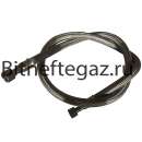 ������� � ����������: ������������ ����������� ���