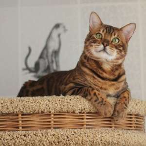 ������������ ����������� ������ � ��������� - ����������� 1