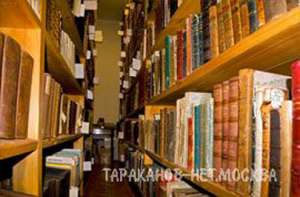 ������������, ����������� ���������, ��������, �������, ������. - ����������� 1