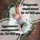 ������� � ����������: ������������ �����������. ��������������������� �����������, ��������� ����������