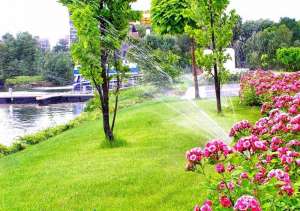 ������������ ������������ ��� ������ ��������������� ������ � ������ - ����������� 1