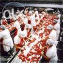 ������������, ������������, ���������, ����������