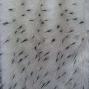 ������������ ������������� ��� ����� � � �������. - ����������� 1