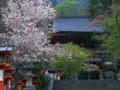 ������� � ����������: ������������ ��������������, ���������