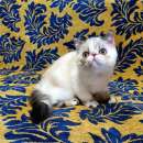 ������������ ��������������� ������� - ����������� 2