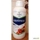 ������������� � ������� �������, ����, ��������, �������, �������. - ����������� 2