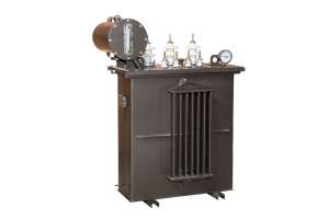 ������������� �� 100��� 10(6)-04 - ����������� 1