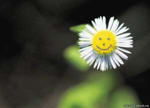 ������������� ��� ���� - ����������� 1