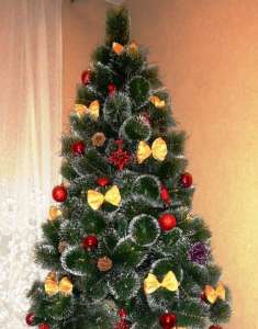 ������������� ���� - ����������� 1