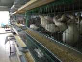 ������������� ����. ������� � ����������� - ����������� 1