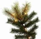 ������������� ����� Donner Blitzen � 60A 2 � - ����������� 2