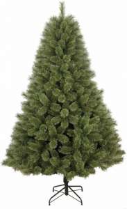 ������������� ����� Donner Blitzen �74� 2.3 � - ����������� 1