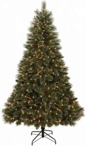 ������������� ����� Donner Blitzen �82 2.3� - ����������� 1