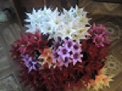 ������������� ����� - ����������� 1