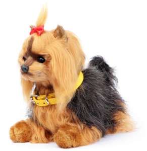 ������������� ����� York Norimpex ������� ���� ������ - ����������� 1