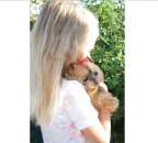 ������������� ����� York Norimpex ������� ���� ������ - ����������� 3