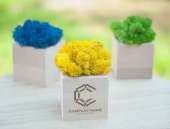 ������� � ����������: �����-��������. ����� � ������������ �����