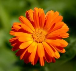 ������������� ����� ����� - ����������� 1