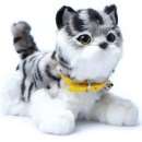 ������������� ����� ������ Norimpex ������� ������������� - ����������� 2