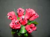 ������������� ������ �� ��� � ���������. ������������ - ������