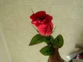 ������������� ������ �� ��� � ��������� - ����������� 2