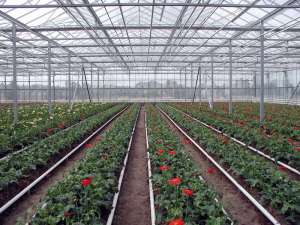 ������������� ������ �� ���� ������� - ����������� 1