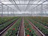 ������� � ����������: ������������� ������ �� ���� �������