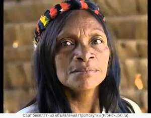 ������������� ������. �������.� ���� �� �������� ����� ������������� ������ ����. - ����������� 1