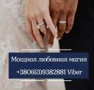 ������� � ����������: ������������� ������ ����������������� ����. �������� �� ����. ������ �����.