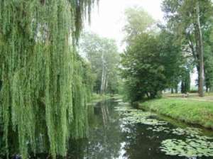 ������������� ������� � �������� ���� ��� �����������, �������� � ��������� - ����������� 1